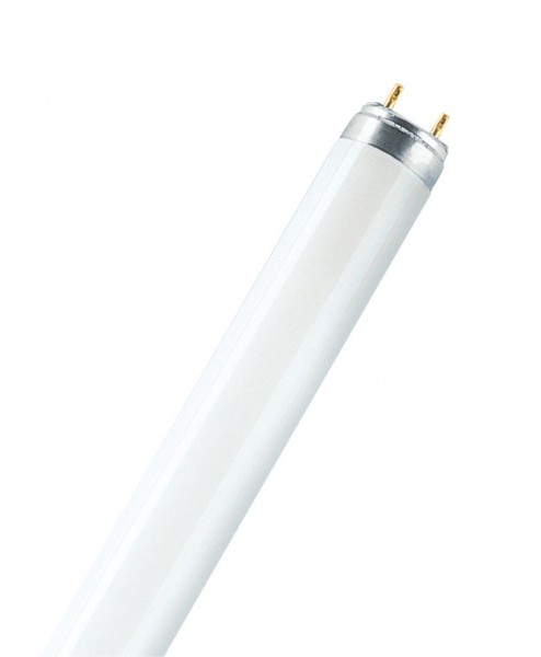 OSRAM - Leuchtstoffröhren Lumilux T8 Farbtyp 865 (Cool Daylight)